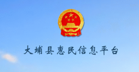 大埔县惠民信息平台