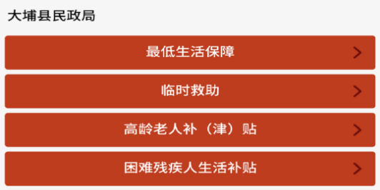 大埔县惠民信息平台