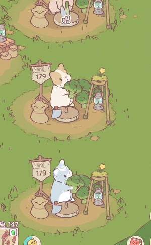 猫咪和汤官方正版