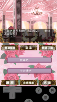 樱兰高校男公关部游戏汉化版最新版2025