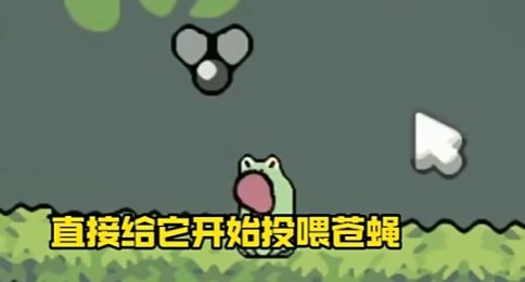 蛙蛙养殖场游戏