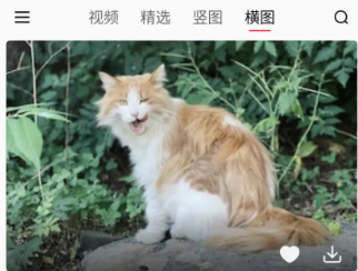 汽水壁纸app官方