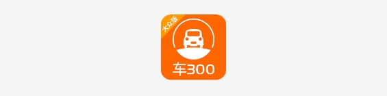 车300二手车app免费评估