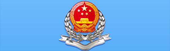 山东电子税务局app