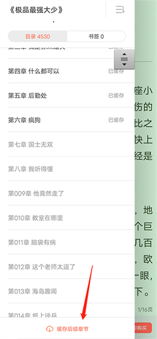 宜搜小说APP