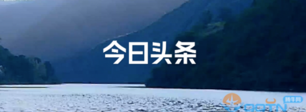 头条搜索极速版