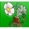 皇家守卫军中文无敌版1.1