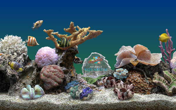 3D热带鱼水族箱屏保v3.1 汉化破解版