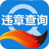宁波交通违章查询