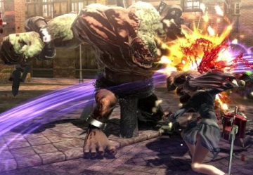 御姐玫瑰z2混沌果体mod