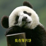 中秋节群主发月饼gif动态表情