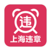 河北公安交管网查违章app