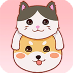 阿猫阿狗手机版官方