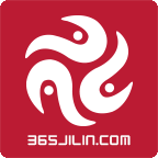 新吉和网安卓版