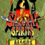 真侍魂2霸王丸附出招表