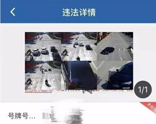交管12123app免费