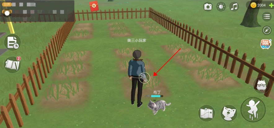 养了个猫2025最新版正版