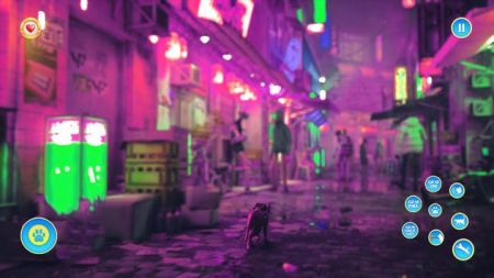 Stray手机版中文