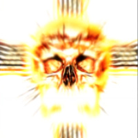 脑叶公司手机版中文正版2025