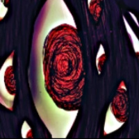 脑叶公司手机版中文正版2025