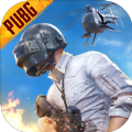 pubg绝地求生国际服手游4.0最新版本