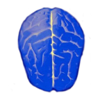 逻辑测试手机版免费