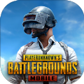 绝地求生pubg地铁逃生官方正版