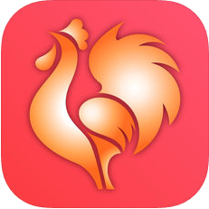 海南大公鸡七星彩手机版