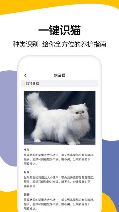 猫语翻译大全app