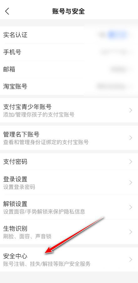 支付宝在哪开启夜间保护 夜间保护功能解答