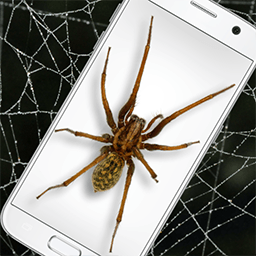 蜘蛛屏幕模拟手机版