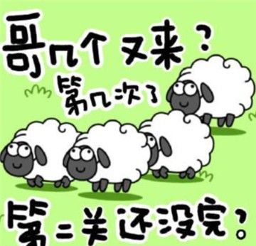 羊了个羊加载失败如何解决 加载失败解决详细教程