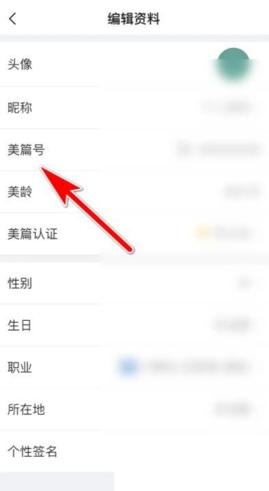 美篇如何查看美篇号 查看自己的美篇号具体教程