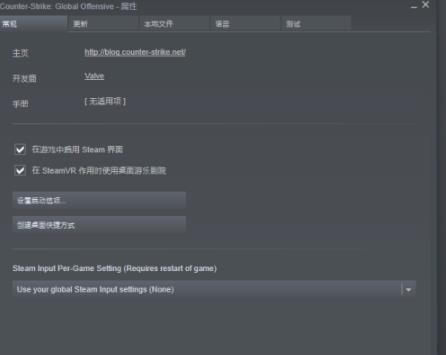 2021csgo国服启动项怎么进国际服