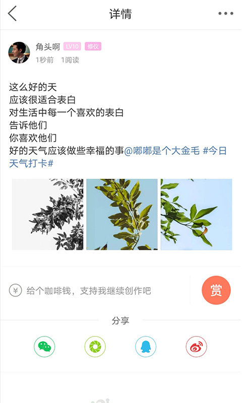 自贡在线平台