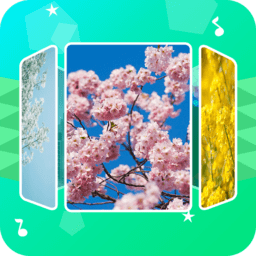 音乐相册助手app