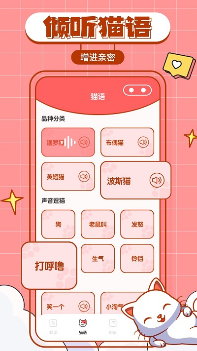 猫咪翻译物语app