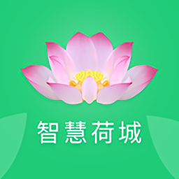 智慧荷城app口罩预约