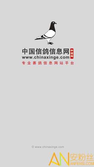 中国信鸽信息网官方版