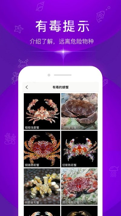 问鱼app