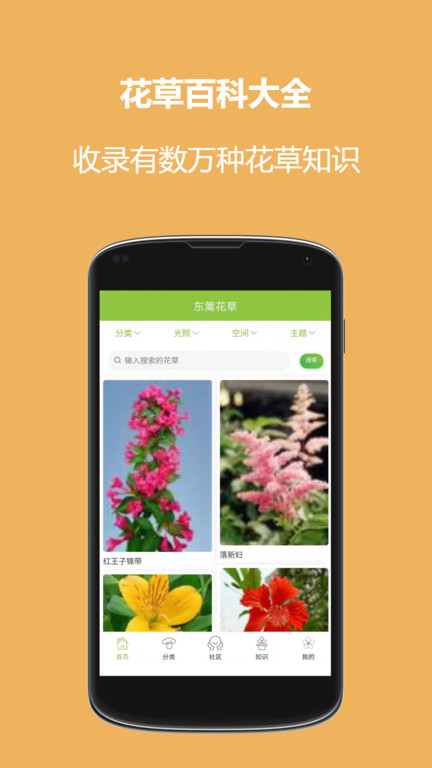 东篱花草app