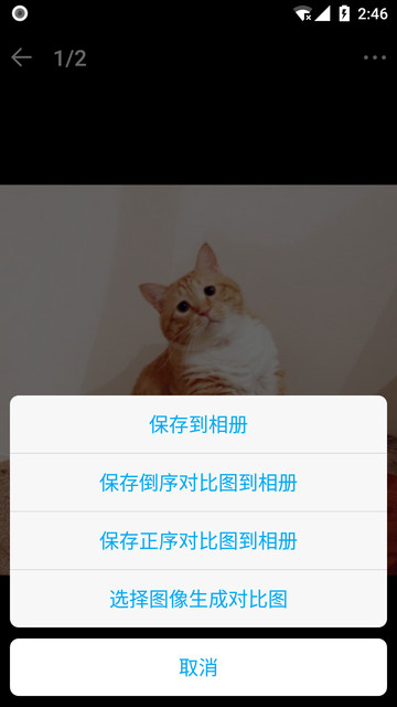 猫咪成长记官方版