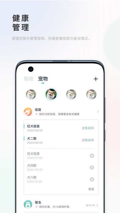 滴宠生活app