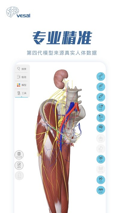 解剖大师app