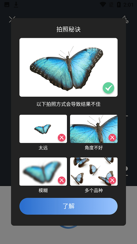 picture insect安卓下载