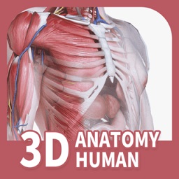 人体解剖3d模型app(改为口袋人体解剖)