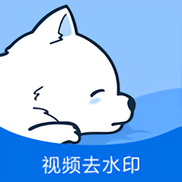 视频去水印专家官方版