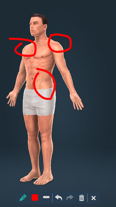 humanbody免费下载