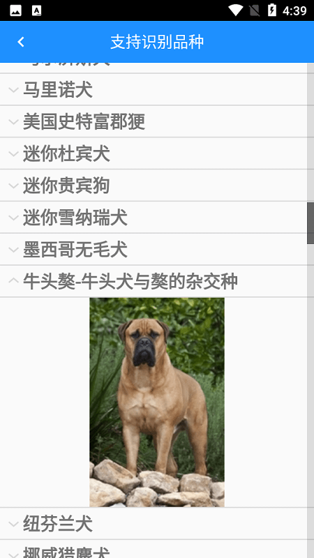 狗狗照片扫描仪软件下载