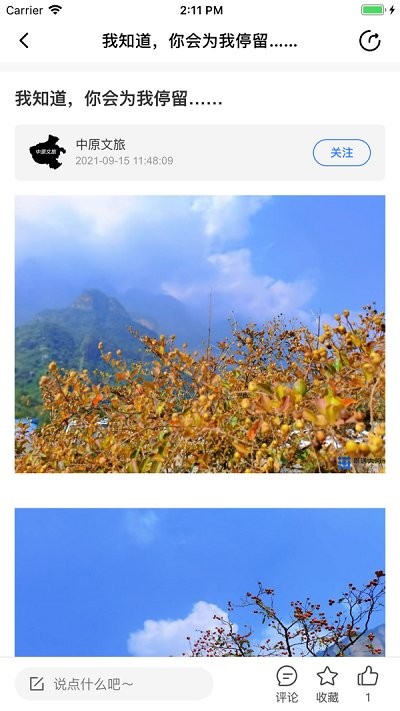 眼遇大河app